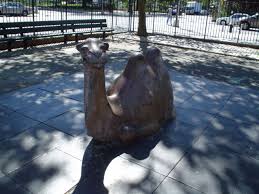 A national park may be set aside for purposes of public recreation and enjoyment or because of its historical or scientific interest. Banneker Playground Highlights Nyc Parks