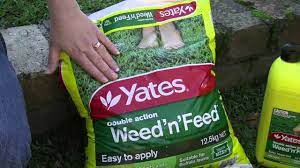 Searchandshopping.org has been visited by 1m+ users in the past month How To Get Your Lawn Looking Healthy And Green With Angie Thomas Youtube