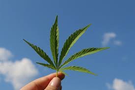 Erfahren sie alles wichtige über das rauschfreie heilmittel aus der hanfpflanze. Cbd Ol Dm Verkauft Wieder Cbd Ole Cbd Ol Test Und Testsieger