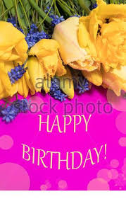 Se qualcuno ti chiede l'eta, non dire che hai 60 anni ma. Biglietto Di Auguri Di Compleanno Rosa E Tulipani Gialli Foto Stock Alamy