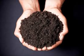 How much will 1 yard cover? Black Garden Soil Dirt Cheap Soil Aggregates Grass Seed Mulch Delivery Kitchener