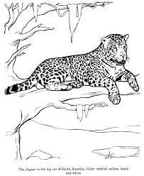 Check spelling or type a new query. Jaguar Coloring Pages Best Coloring Pages For Kids Zoo Animal Coloring Pages Zoo Coloring Pages Animal Coloring Pages