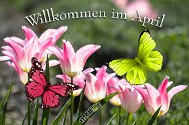 Dazu gehört natürlich die richtige planung und vorbereitung. Kostenlose April April Bilder Gifs Grafiken Cliparts Anigifs Images Animationen