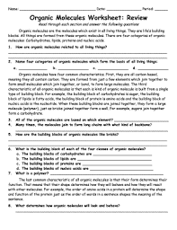 Building macromolecules lab activity notes and review from macromolecules worksheet answer key , image source: Biomolecule Review Worksheet Fill Out And Sign Printable Pdf Template Signnow