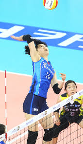 박정아는 1993년 3월 26일에 부산에서 출생하였다. å¥³ ë°°êµ¬ ë°•ì •ì•„ ì¶œì „ ì •ì§€ ì§•ê³„ ì² íšŒ ë§¤ì¼ê²½ì œ