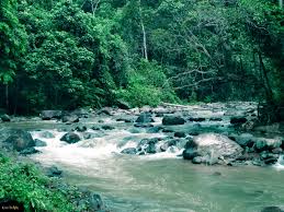 Tempat menarik di negeri johor taman negara tanjung piai. Terokai Khazanah Alam Di Taman Negara Endau Rompin Selai Kakitravel Net