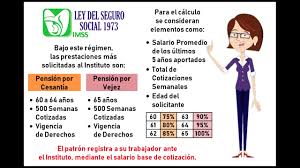 Seguro de cesantía y número de cargas familiares declaradas al momento del despido para lo cual el beneficiario podrá solicitar a fonasa la reclasificación en el respectivo grupo de ingresos al cual pertenecerá para su atención en salud. El Pesimismo No Aumentara Su Pension Imss Por Cesantia O Vejez Ley 1973 Video Analysis Report