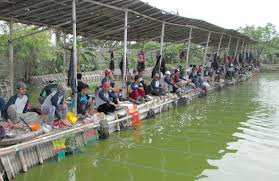 Yasin Mancing Harian Mas Setiap Lapak Dapat Jatah Ikan 2 Kilo Kabar Mancing