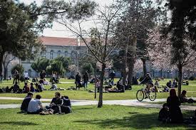 Üniversitelerin 2 yıllık ve 4 yıllık bölümlerin de öğrenim görmek isteyen adayların en. Ytu Kampus Yildiz Teknik Universitesi Taban Puanlari Ve Facebook