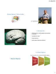 En este video revisamos la fisiología del lenguaje, términos y características de los distintos tipos de afasias que podemos encontrarnos. Afasias Atipicas Y Subcorticales Pdf Afasia Neurociencia