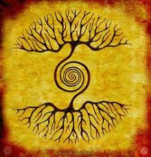 Image result for shamans tree