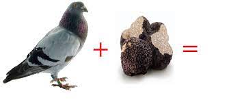 Aga dymek 184 views2 months ago. Tre Modi Di Gustare Il Piccione Con Il Tuber Aestivum Andare A Tartufi