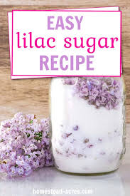 Maybe you would like to learn more about one of these? How To Make Lilac Sugar Homestead Acres