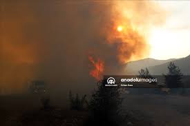 Durumun bildirilmesi üzerine bölgeye orman işletme ve itfaiye ekipleri sevk edildi. Uh4xt8cc0pq5lm