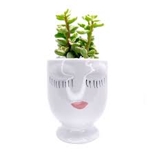 Especially when it gets embedded in/by your spine! Hand Painted Pretty Lady Face Pot Small Ceramic Pot For Succulent Cactus Flower Succulents Box