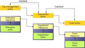 Hoshin planning is more than a compass for steering the direction of your business processes. Hoshin Kanri Ceopedia Management Online