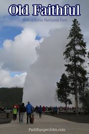 According to the national park service, yellowstone is the only place in the united states where buffalo (credit: Old Faithful Yellowstone National Park Park Ranger John