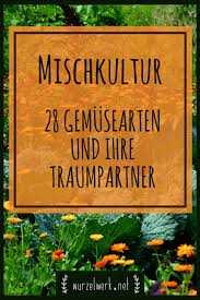 28 Gemusearten Und Ihre Wirksamsten Mischkultur Partner Beispielplan Mischkultur Garten Ideen Und Hydrokultur Garten