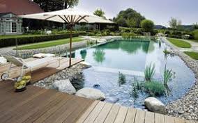 Naturpool 9 Bestrittene Mythen Garten Pooldesign Zenideen Naturschwimmbad Schwimmbad Designs Schwimmteich