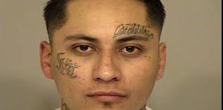 Ventura police arrest wanted subject after pursuit