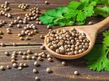 Image result for coriander seeds