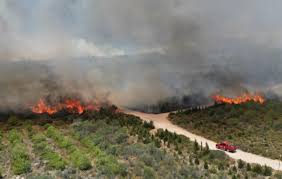 İzmir Çeşme'de orman yangını faciası: 3 ölü - Tr724