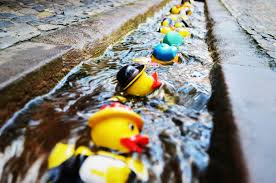 Bachle Enten Gummiente Rubber Duck Gummiente Ente Enten