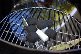 We did not find results for: Weber Basics How To Light The Perfect Fire Yuppiechef Magazine