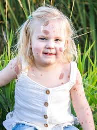 Make-A-Wish Idaho gifts playhouse to 3-year-old with nervous system disorder