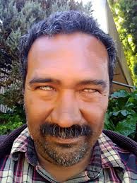 Will the team win the Super Bowl this year?