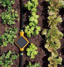 Garden Gadgets That Automatically Water Plants When They Are Thirsty Garden Gadgets Smart Garden Garden Kits