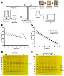 Nanoemulsions Based