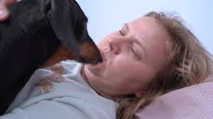 We have no control over the content of these websites. Woman Licks Stock Video Footage 4k And Hd Video Clips Shutterstock