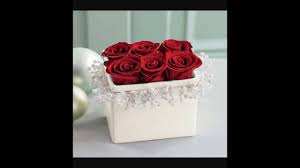 صور ورد احمر هدية الى قناة الوردة الحمراء بليز اشتركو بقناتها