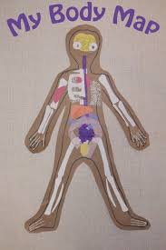 Make A Life Size Body Map To Help Kids Learn Anatomy Human Body Unit Study Body Map Human Body Unit