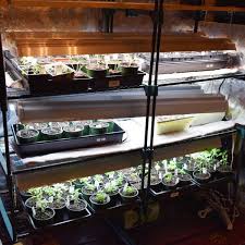 You can easily add glass shelves that don't obstruct the view or light and have plenty of room. How To Build A Diy Grow Light System On A Budget