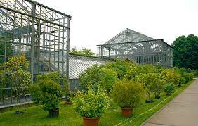 Entdeckt im botanischen garten in die 21 hektar große gartenanlage zählt zu den artenreichsten pflanzensammlungen in deutschland. Botanische Anlagen Land Berlin
