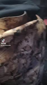 Got the invite to head over and check...