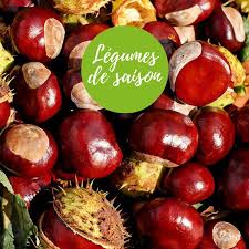 Focus Fruits Et Legumes De Saison La Chataigne Riche En Amidon C Est Un Tres Bon Fournisseur D Energie L Abondance De Ses Fruit Instagram Instagram Posts