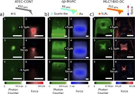 Le discours officiel est encore, y compris par les diabétos (qui ont eu pourtant beaucoup de mal à recenser et à croire à tous ces effets secondaires, ils devraient être plus. Synchronous Crosstalk Free Correlative Afm And Confocal Microscopies Spectroscopies Scientific Reports