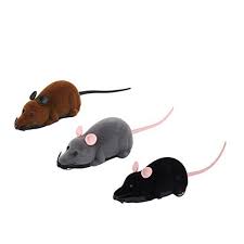 Pin On Cat Mice Animals Toys