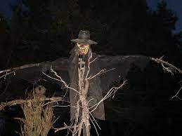Halloween Haunt Forum Member Scarecrows Halloween Scarecrow Scarecrow Halloween Props