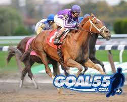 Pin On Goal55 Com