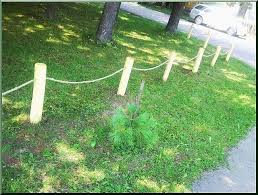 Palisade Akazien Holz Ildare Garten Umweltfreundlich Und Palisaden
