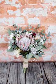 Silver Gum Tetra Tetragonia Tetragona Nuts Gumnuts Gumnut Babies Baby Breath Ranunculus Burgundy K Small Wedding Bouquets Protea Wedding Flower Bouquet Wedding
