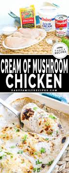 Chicken and noodles with white wine sauce tyson olive oil, onions, parmesan cheese, celery, egg noodles, white wine and 8 more creamy chicken stew mccormick onion, heavy cream, boneless, skinless chicken thighs, celery and 4 more Baked Cream Of Mushroom Chicken Easy Family Recipes