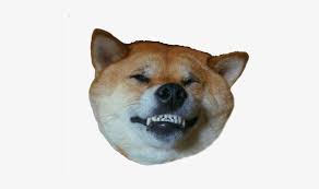 This example removes the background color from a png image and makes the background 100% transparent. Doge Head Shiba Inu Head Transparent Png Image Transparent Png Free Download On Seekpng