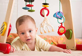 Cat's are typically very clean creatures and are able to groom themselves quite well on their own, but there are times when kitty needs a good, soapy bath! Best Toys For 5 Months Old Baby Safety Tips How To Choose