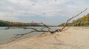 Ebben az esetben elegendő egy közönséges zsilip, amely a csatorna felé mutat. Klimavaltozas Sohasem Volt Ilyen Alacsony A Duna Vizallasa Mar Elveszett Holmik Is Szarazra Kerultek Delhir Portal