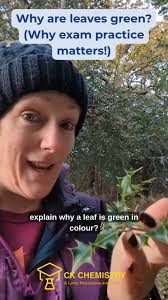 When you get to the exam question, do you sometimes feel like you're having  to read the examiner's mind to know what they want you to say? , Although  _some_ questions can be a bit weird, for most ...